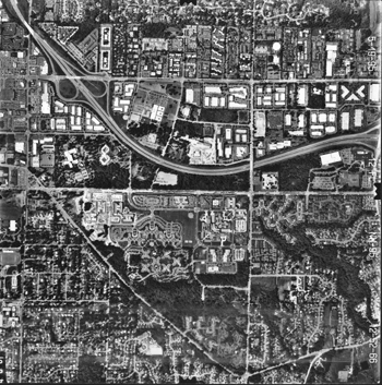 Microsoft's Campus
