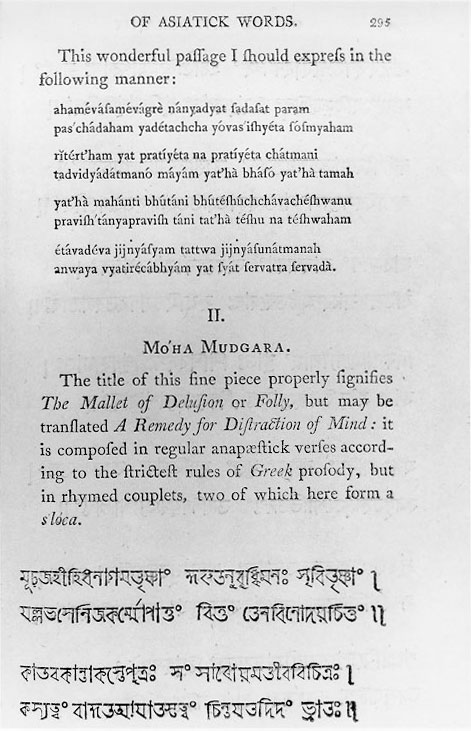 Plate 1