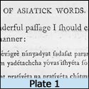 Plate 1