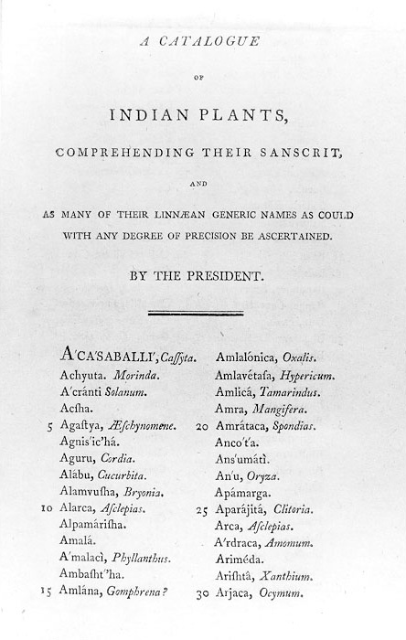 Plate 3