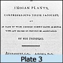 Plate 3