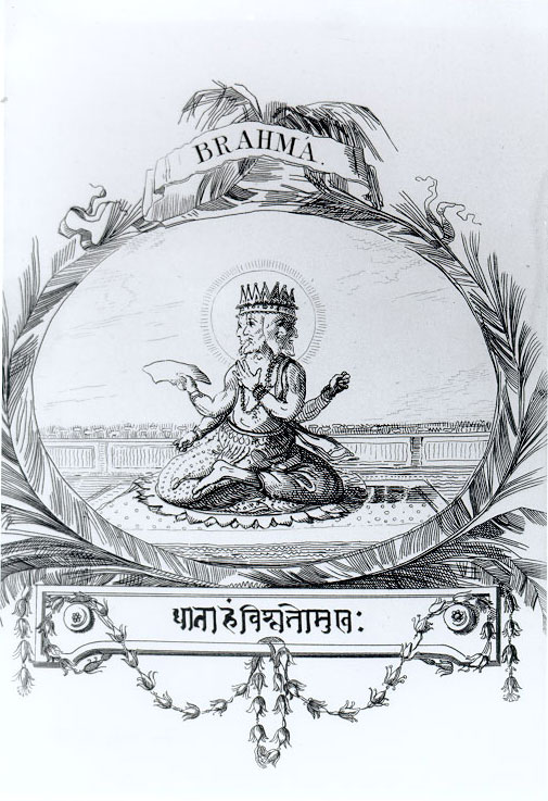 Plate 5