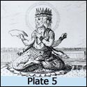 Plate 5