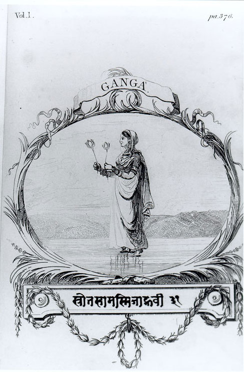 Plate 6
