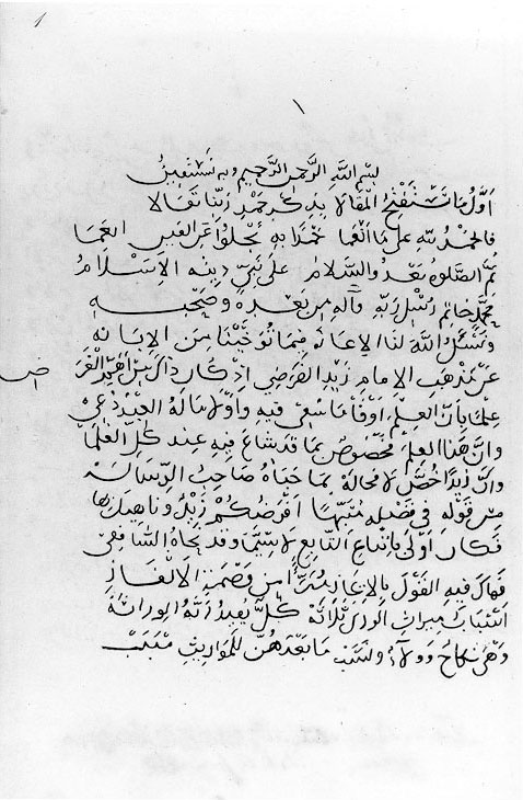 Plate 7