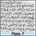 Plate 7