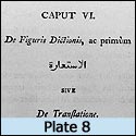 Plate 8