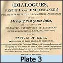Plate 3
