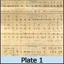 Plate 1