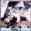 Plate 1