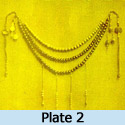 Plate 1