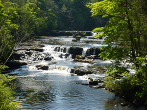 Photo: Aysgarth High Force (Wikimedia Commons).