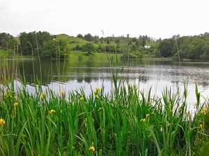Later in the Guide, Wordsworth describes this as the most beautiful tarn in the Lake District. Photo: Rachel Wise.