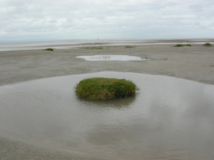 Wordsworth refers to the sands of Morecambe Bay, a large expanse of intertidal mudflats, some 190 square miles of which become exposed at extreme low tides. People have been traversing the estuary for centuries, and accounts of the sometimes-treacherous crossing appear in guidebooks known to Wordsworth. Photo: a view of the Sands near Ulverston (Paul Westover). See also note to p. ix.