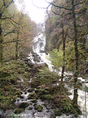 Lodore Falls near Derwentwater, the subject of famous verses by Robert Southey, an inspiration for various landscape artists, and a major draw for Lake tourists, became a locus classicus in the travel literature. Wordsworth knew all of the traditional high spots, and the Guide routinely points them out. Photo: Tony Richards, visitcumbria.com.