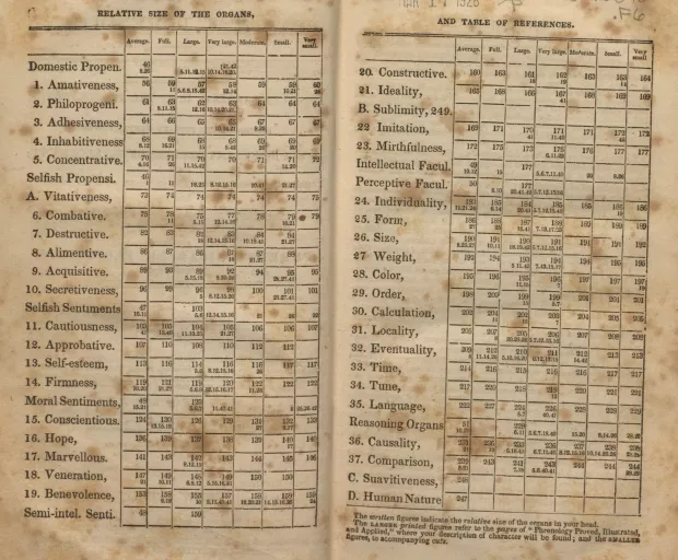 Chart of Organs