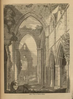 Ruins of Tintern Abbey