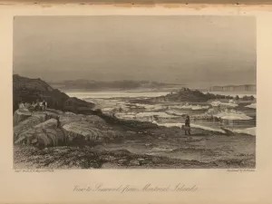 View towards a frozen sea